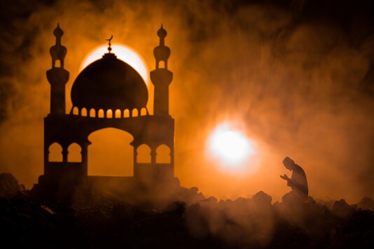 (Representative pic: Shutterstock)
