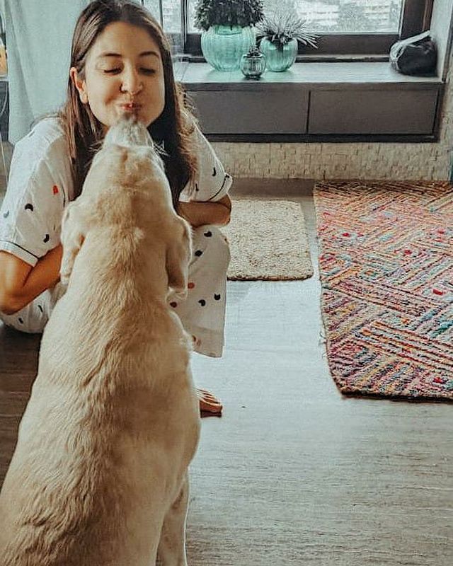 Anushka Sharma vu faire des grimaces à son animal de compagnie. (Image: Instagram) Anushka Sharma vu faire des grimaces à son animal de compagnie. (Image: Instagram)