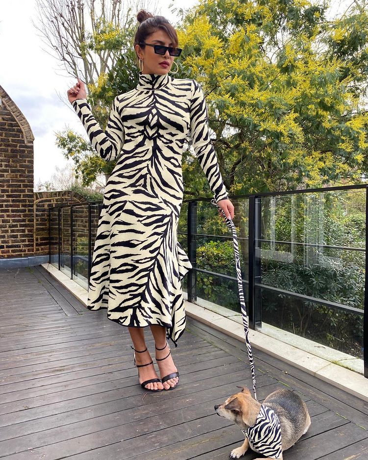 Priyanka Chopra se jumelle avec son chien. (Image: Instagram) Priyanka Chopra se jumelle avec son chien. (Image: Instagram)