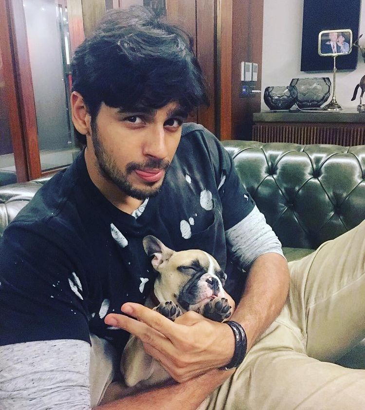 Sidharth Malhotra fait des câlins à son chien. (Image: Instagram) Sidharth Malhotra fait des câlins à son chien. (Image: Instagram)