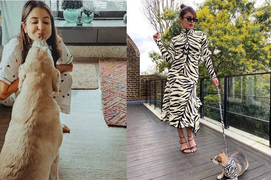 These Adorable Pictures Of Celebrities With Their Pet Dogs Will Melt