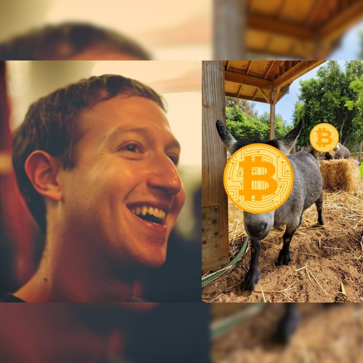 Mark Zuckerberg On Facebook Reveals He Owns Bitcoin But It S Not What You Think