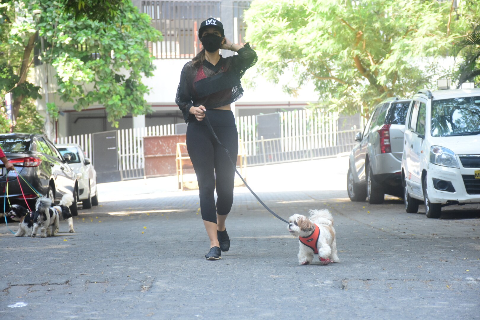 Sophie Choudry seen taking a walk with her dog. (Image: Viral Bhayani) Sophie Choudry seen taking a walk with her dog. (Image: Viral Bhayani)