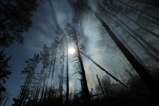 Image for representation. REUTERS/Mike Hutchings
