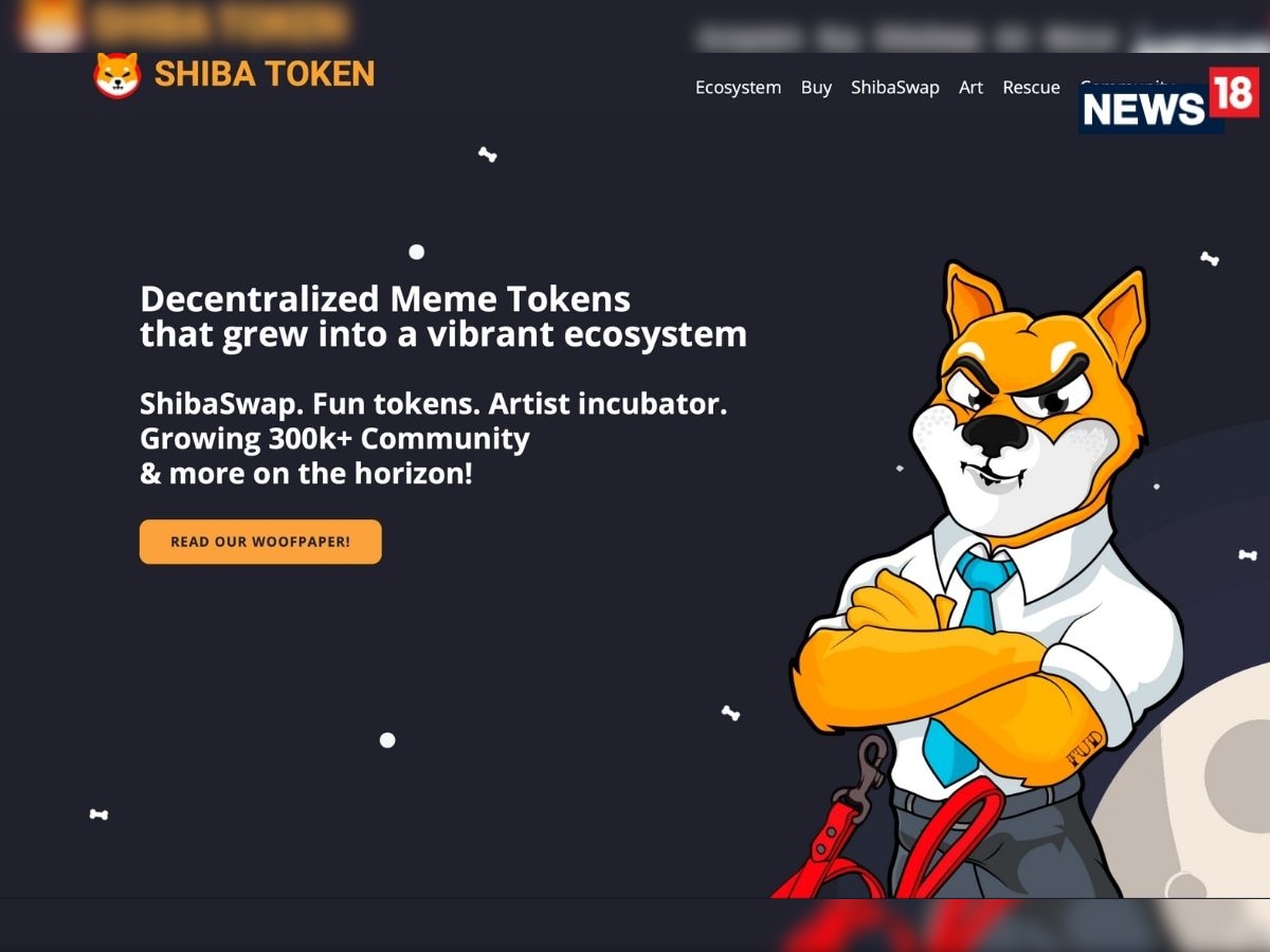 Shiba Inu Crypto Coin Is It Really The Dogecoin Killer Or Just Another Meme Coin And A Hustle