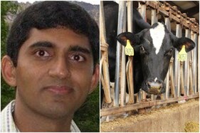 IIT Alumnus Quit US Job to Buy 20 Cows in India, Now His Dairy is Making Rs 44 Crore