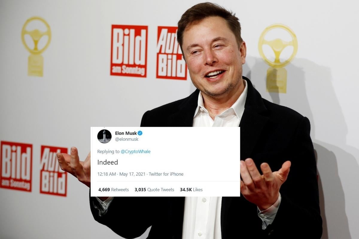 Elon Musk S Indeed Tweet Led To Another Drop In Bitcoin Prices And Rise In Memes Web News 24