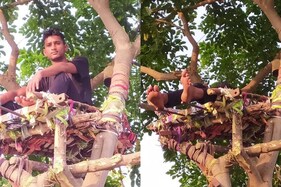 Telangana Man Turns Tree into 'Isolation Ward' After He Struggles to Find One in Village
