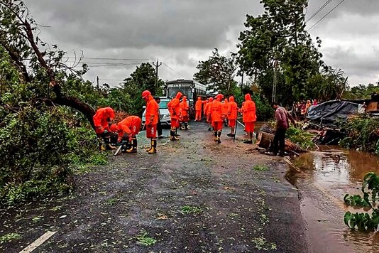  NDRF personnel clear a road, obstructed by felling of trees, after Cyclone Tauktae made landfall, in Gujarat. PTI