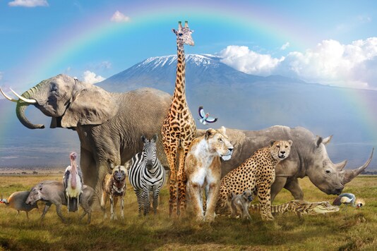 (Representative pic: Shutterstock)
