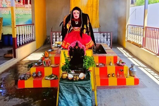 The temple has been set up in Kamatchipuram village on the outskirts of Coimbatore city. (Credit: Twitter/@EnolaHolmes)