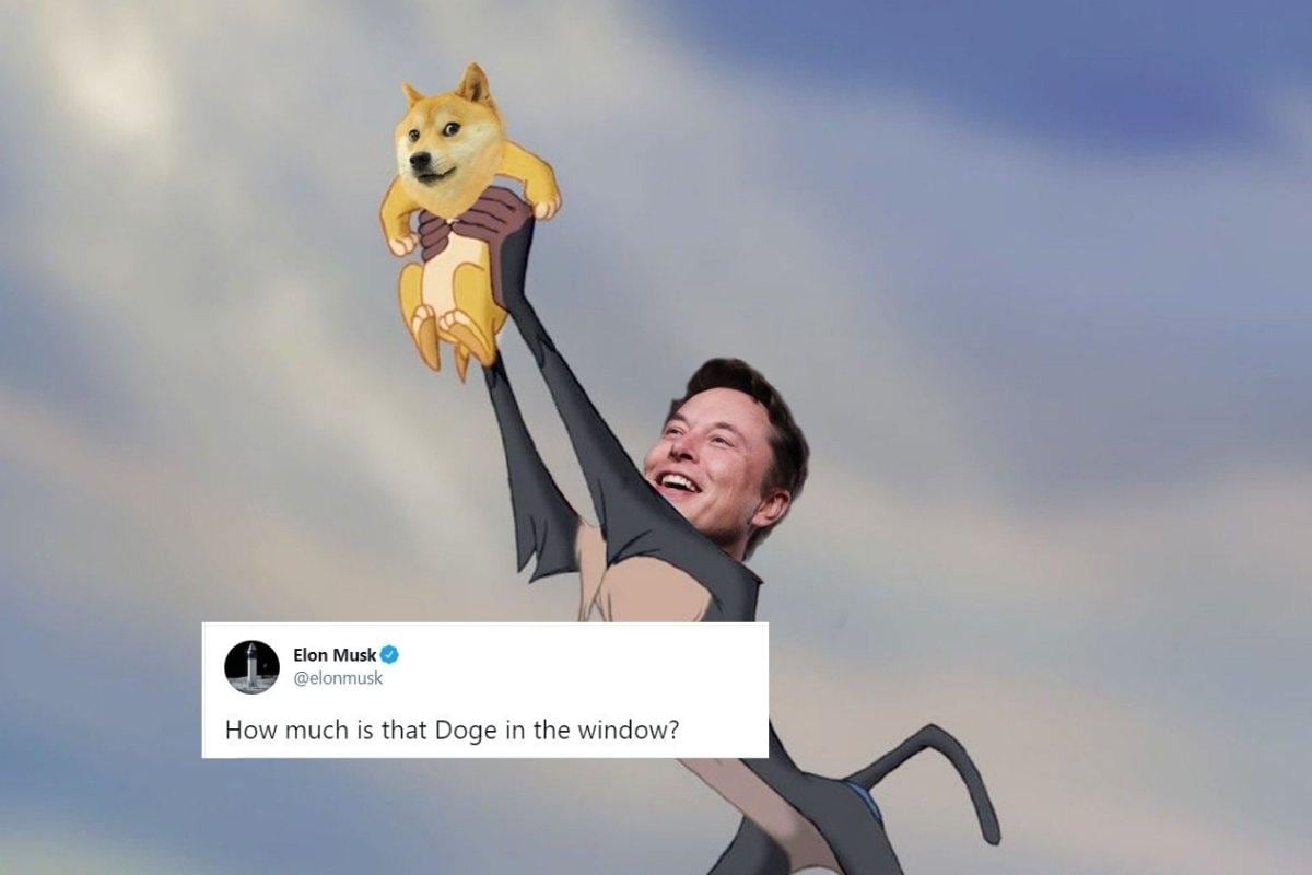 Dogecoin Value Jumped 22 After Elon Must Tweeted This Song From 1950s