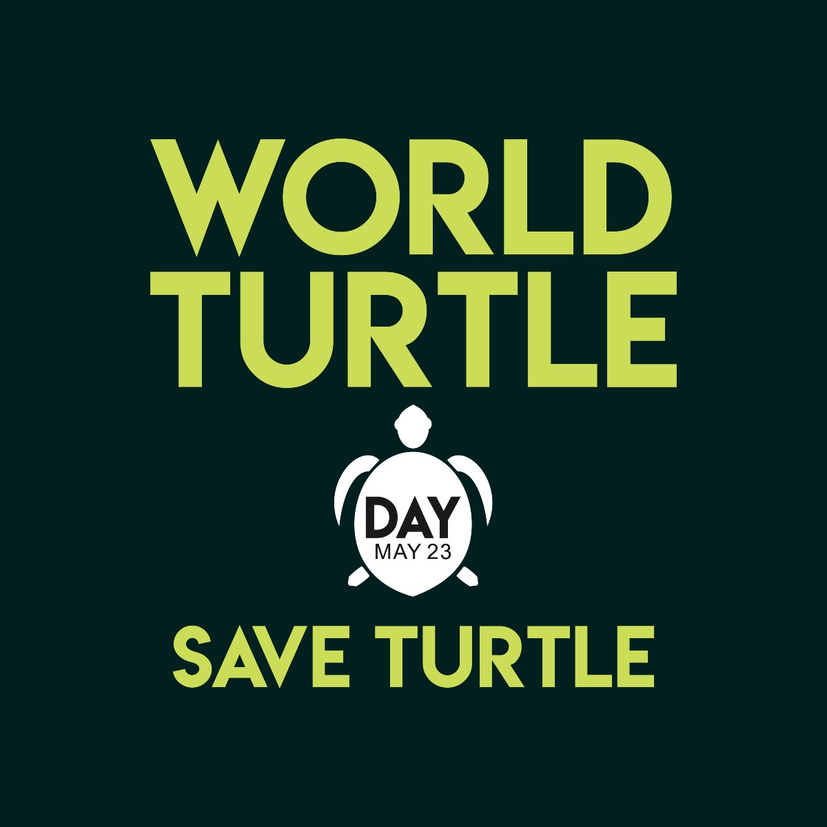 World Turtle Day 21 Significance Theme Quotes And Images To Spread Awareness