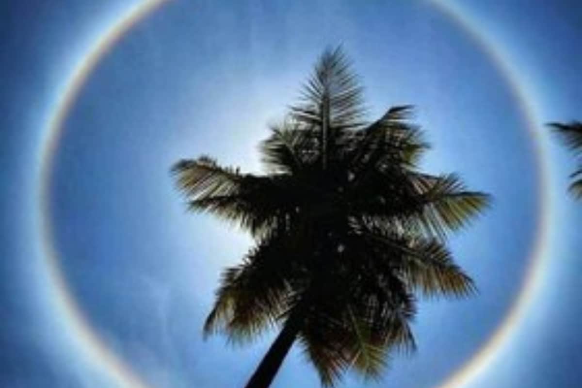 Bengaluru Residents Witness Rare 'Sun Halo' Phenomenon, Stunning Images