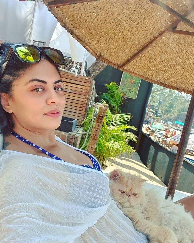 Kavita Kaushik Stuns With Her Sexy Throwback Photos, Check Out The Diva's Hottest Pics News18