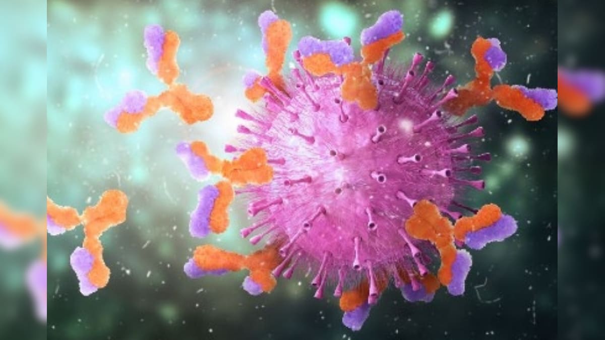 Unique Antibody Produced During Common Cold Reacts to Covid-19 Infection, Study Reveals