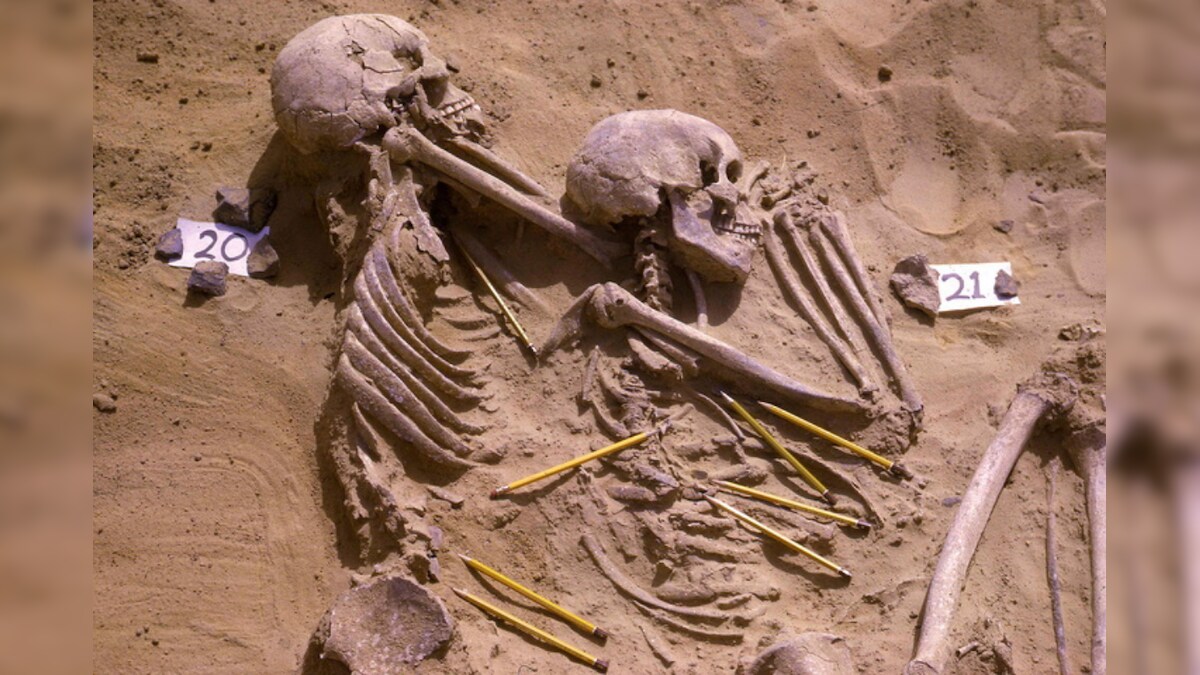 Ancient Sudan Cemetery Findings Suggest Day-to-day Violence Was Common in Hunter-gatherers