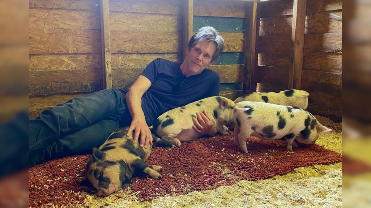 Kevin Bacon Posed With a Bunch of Pigs and Asked the Internet for Sizzling Captions