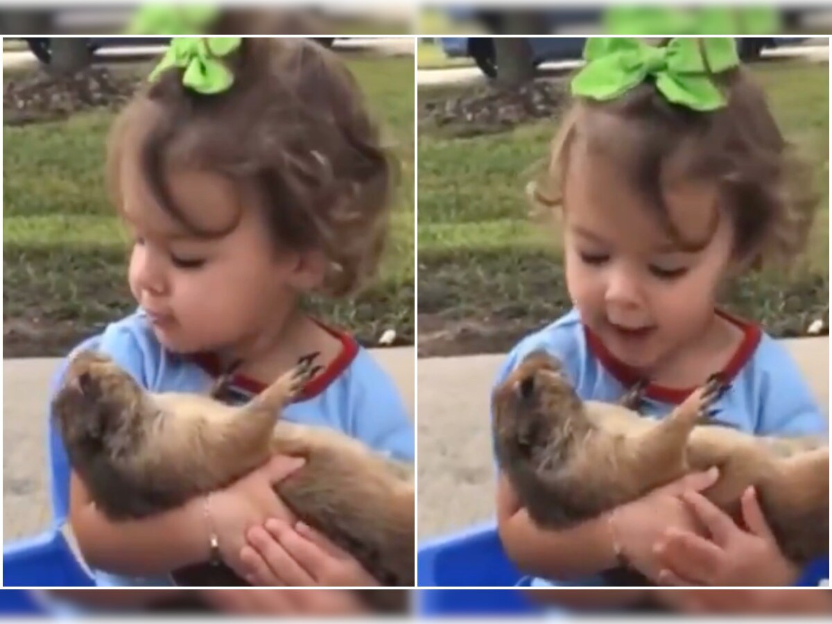Viral Video of Little Girl Singing to Prairie Dog is Melting Internet but are They Safe? Viral Video of Little Girl Singing to Prairie Dog is Melting Internet but are They Safe?
