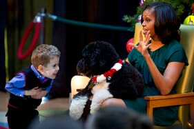Obama Dog Bo, Once A White House Celebrity, Dies From Cancer