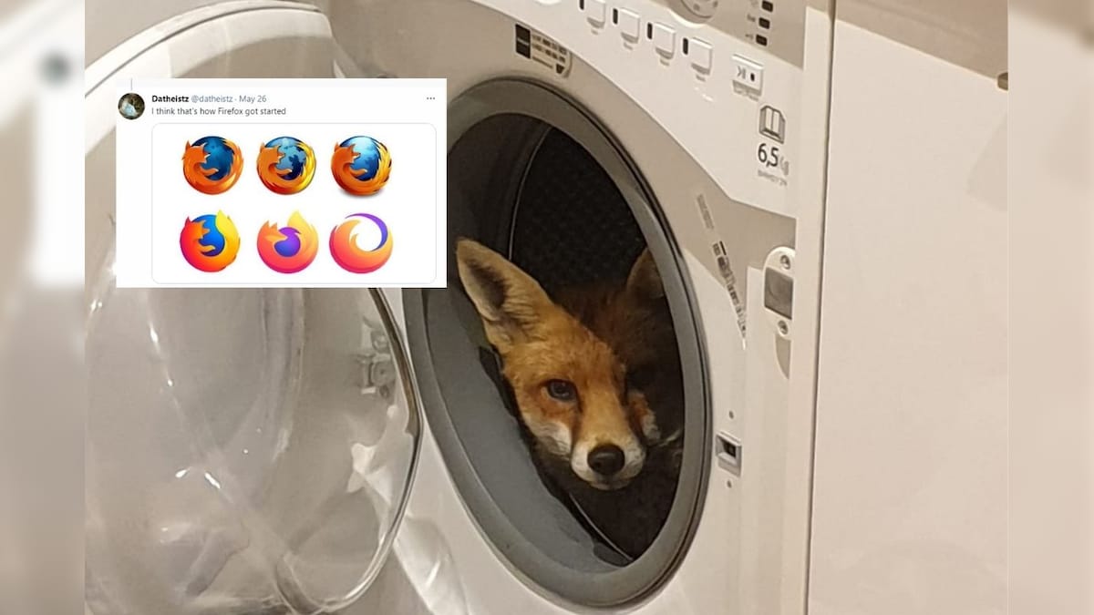 Woman's Encounter with Fox in Washing Machine is Reminding Netizens of 'Firefox' Browser