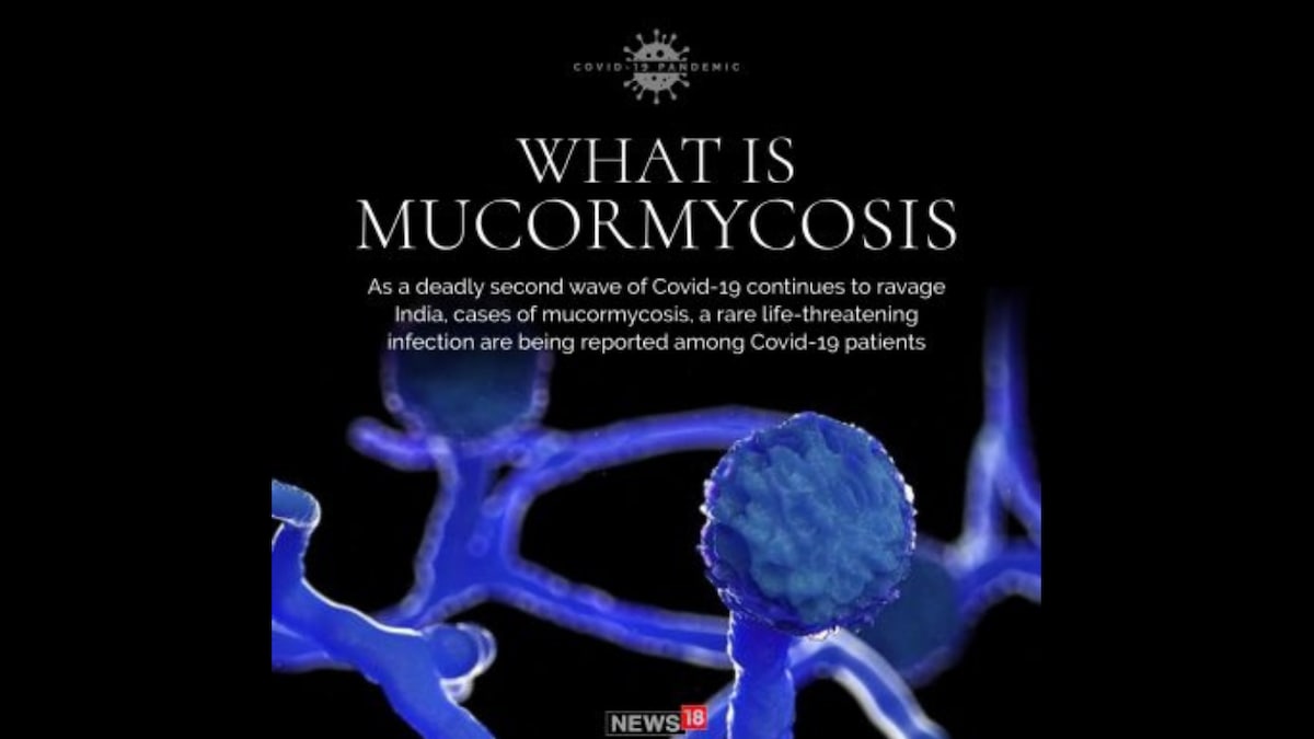 Busting Myth: Fungal Disease Reported During COVID Second Wave is Mucormycosis, Not Black Fungus