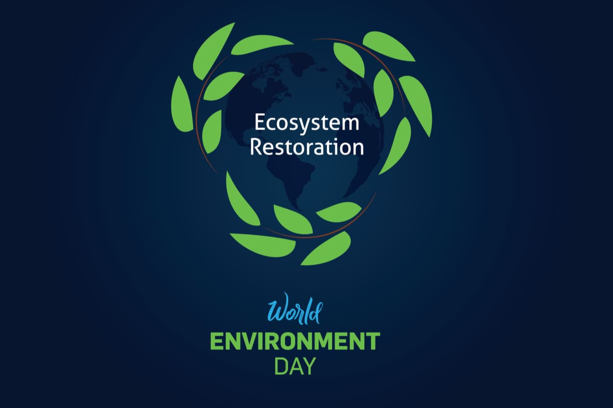World Environment Day 2021 Date: Theme, History and Significance