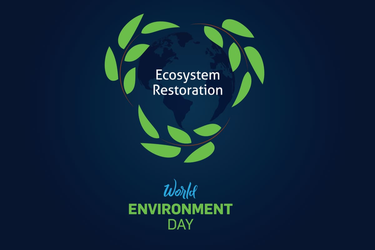 world-environment-day-2021-date-theme-history-and-significance