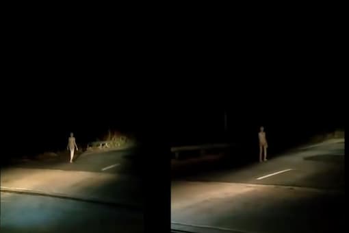 Video grab of viral video claiming 'alien' in Jharkhand.
(Credit: Twitter)