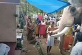 Loyal Elephant Bids Farewell to Mahout after the Loving Master Succumbs to Cancer in Kerala