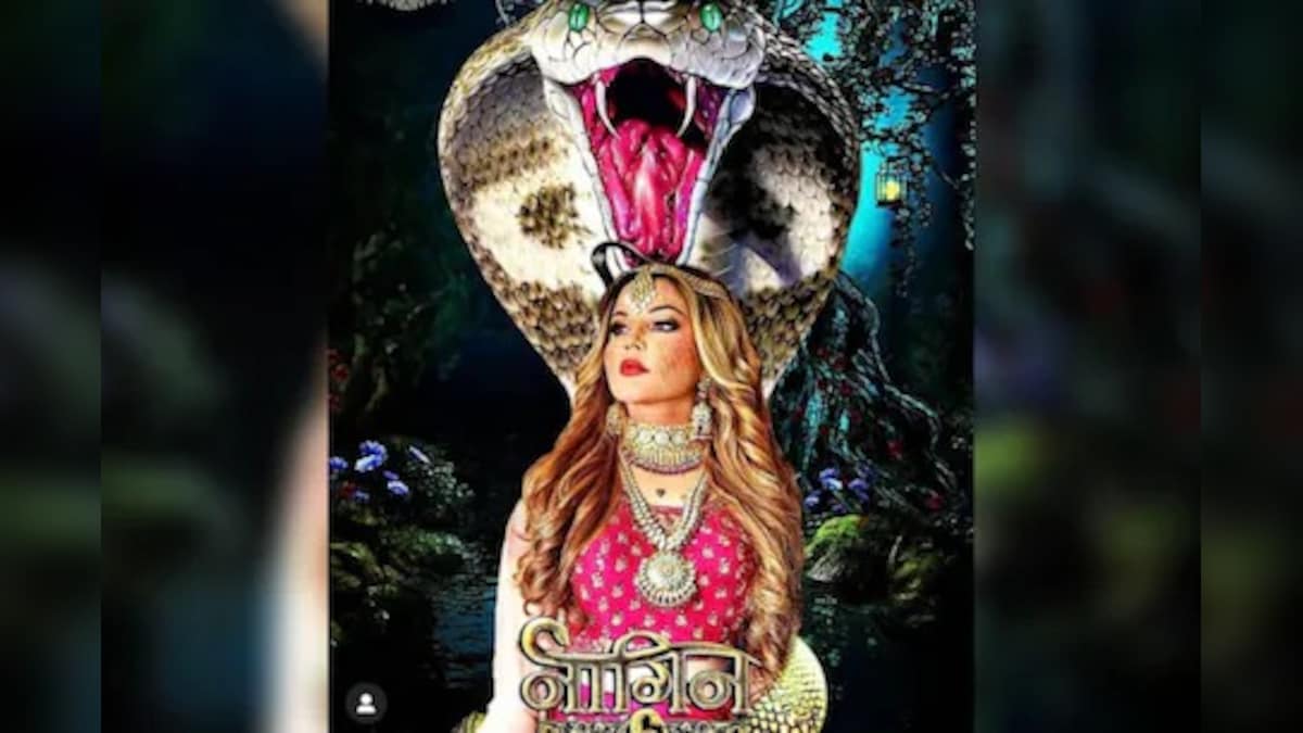 Rakhi Sawant Shares Naagin 6 Poster With Her Picture