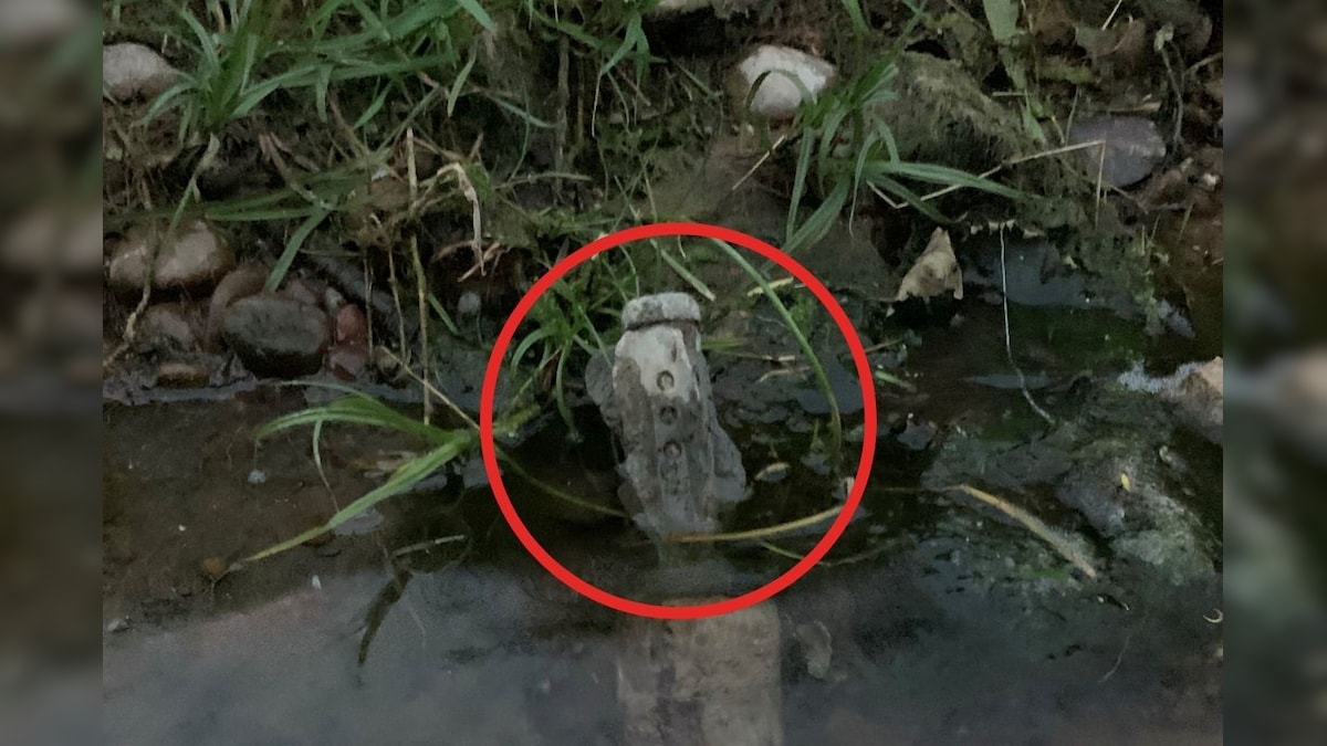 Couple Discovers 'Unexploded' Bomb from World War II during Family Picnic in UK