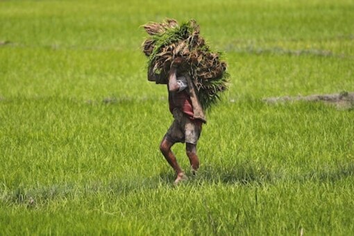 Representative image. (Reuters)
