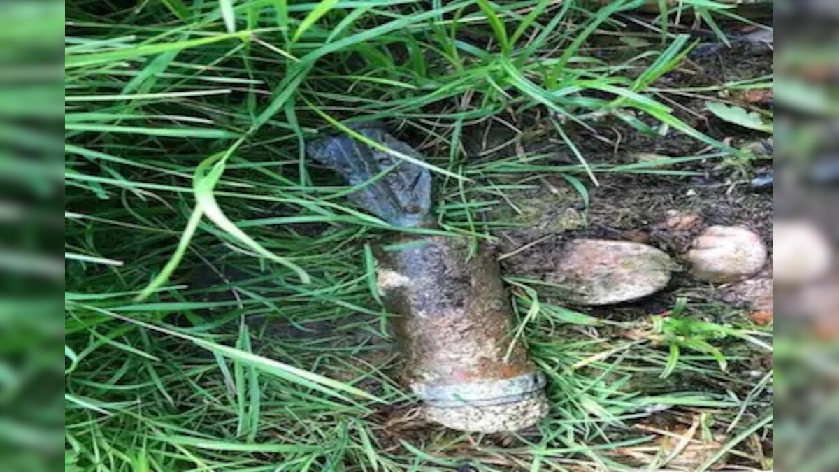 Family In England Finds Out They Had Picnic Next To A World War II Bomb