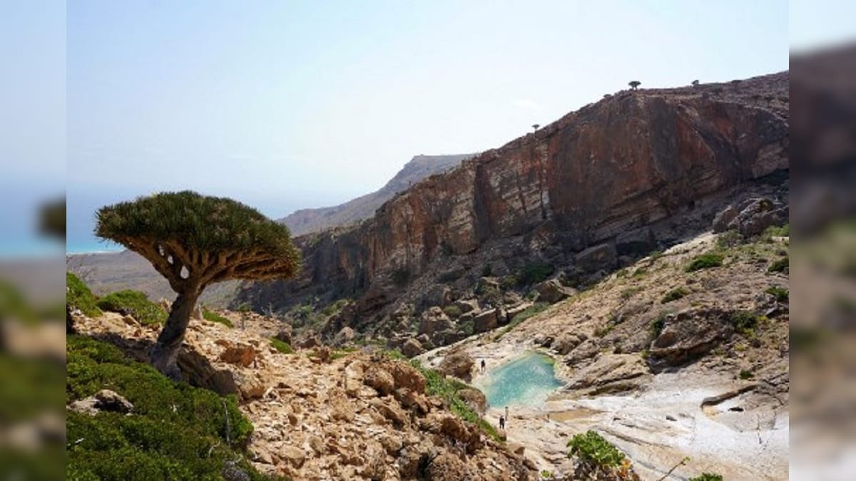 Yemen's Unique 'Dragon's Blood' Island, a Treasure Trove of Biodiversity Under Threat