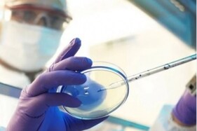 Use Posaconazole Injections to Treat Black Fungus if Drug Unavailable, Says Covid Task Force