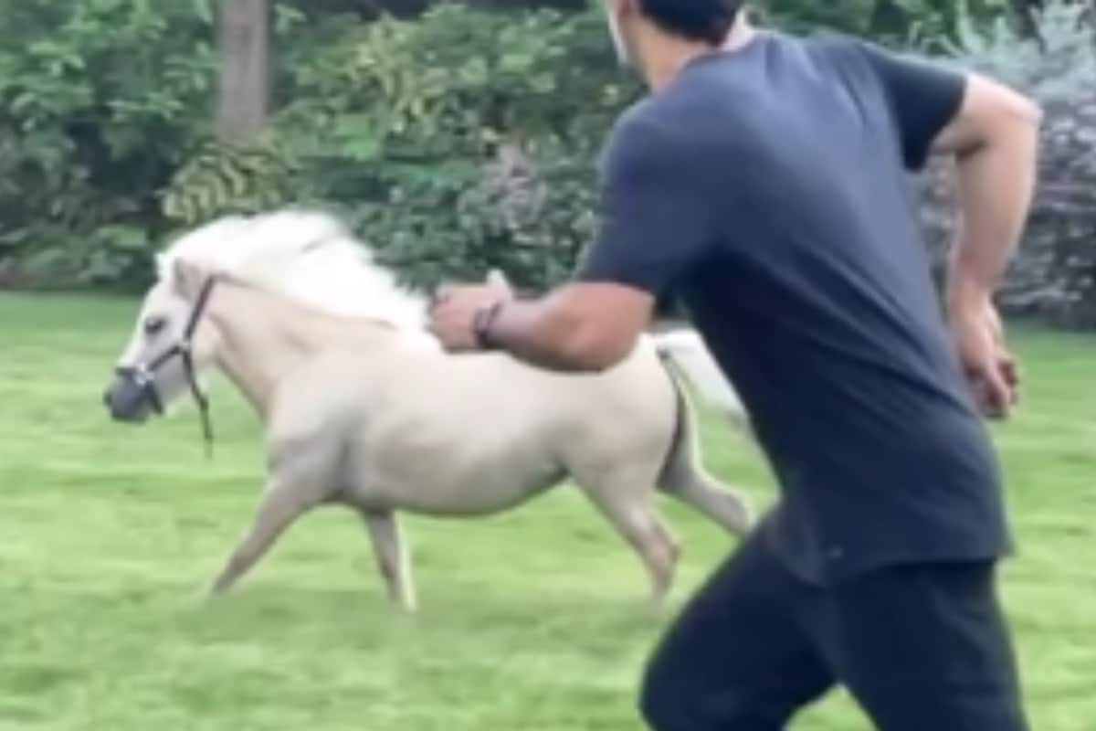 Dhoni 'Tests' His Fitness With a Pony Race in Ranchi Farmhouse in Viral Video » Press24 News English