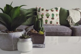 Summer-ize Your Home Decor With These Simple Steps