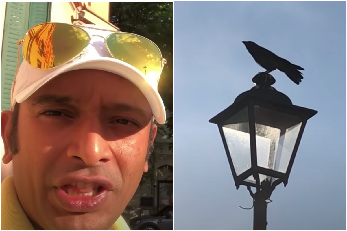 Telugu YouTuber Chased by a Crow for 7 Days in Serbia, Video Goes viral
