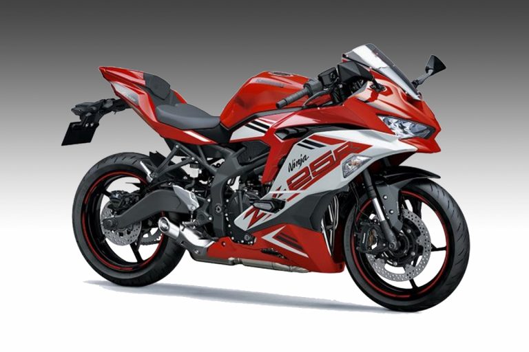 彩火's セレクト 1623703525_2022-kawasaki-ninja