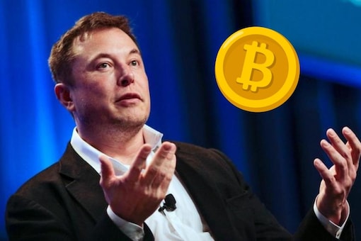 Musk wants to make sure that Bitcoin mining falls within the same principles as his clean energy EV company, Tesla's, initiative.
(Representational Image. Photo Credit: Reuters)