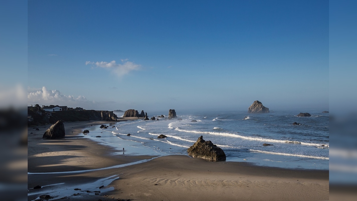 Mystery Black Substance Staining People's Feet in US Beach Turns Out to be Millions of Dead Insects