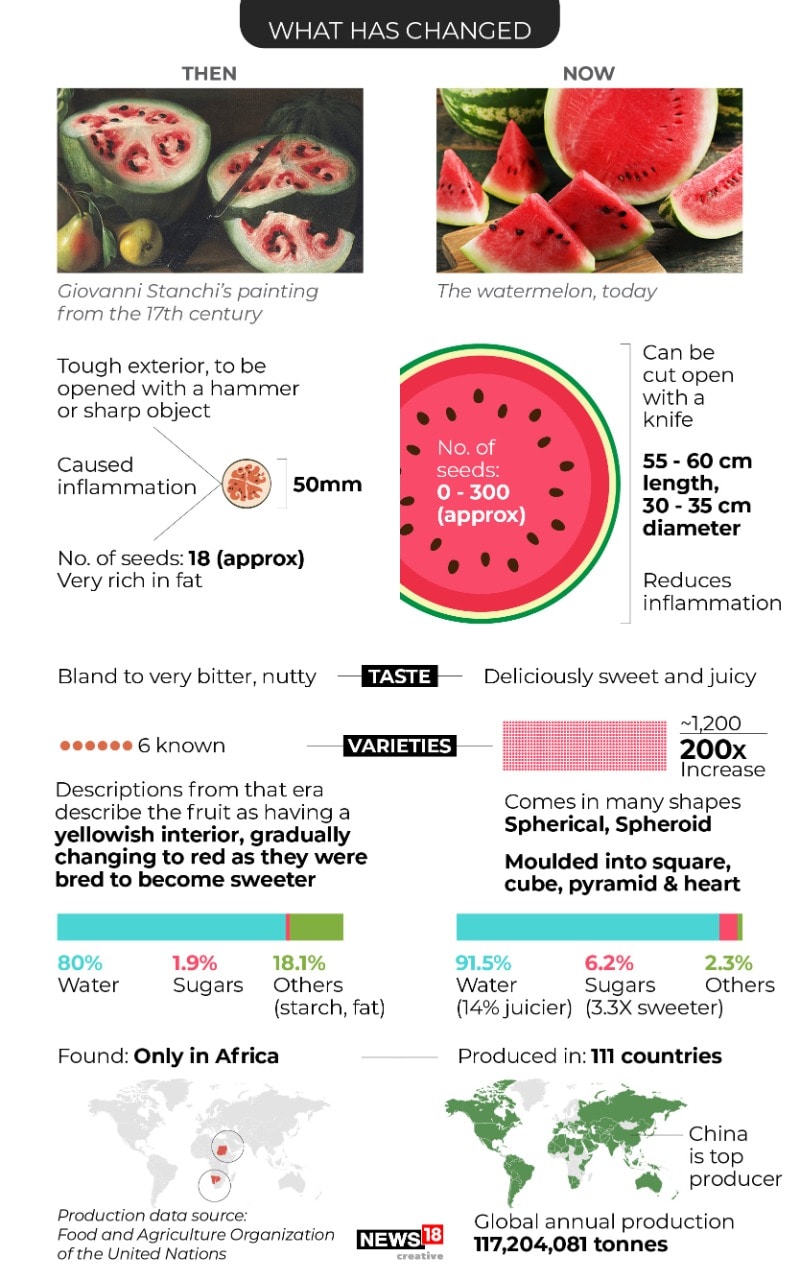 In Pictures: What has Changed in Cultivation of Veggies and Fruits Over ...