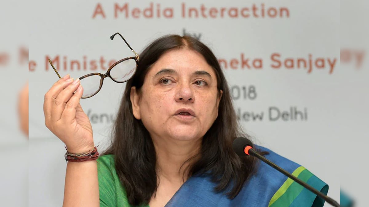 MP BJP MLA Lashes Out at Maneka Gandhi for Remarks Against Vet