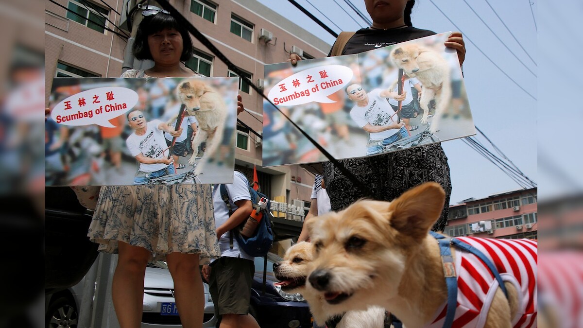 China's Yulin Dog Festival Still Underway Despite Efforts by Animal