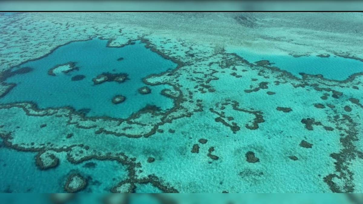 Great Barrier Reef to Venice UN World Heritage Sites at Risk Due to
