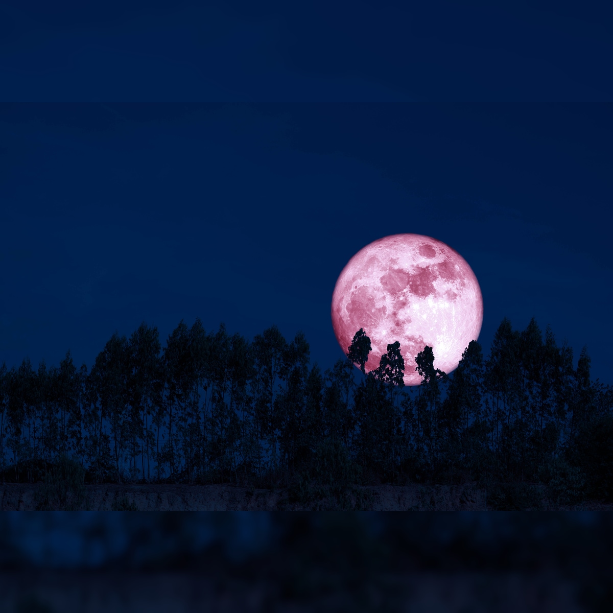 From Vat Purnima To Strawberry Moon Here S What The June Full Moon Is Called Across The World