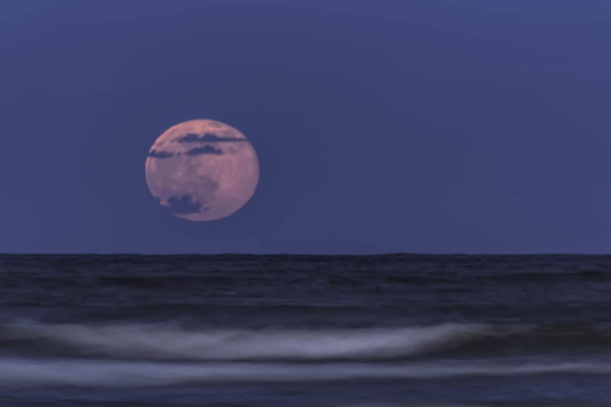 Strawberry Moon 2021: Get Ready to Witness Full Moon in ...