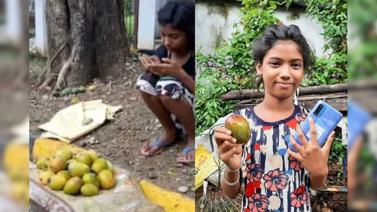 Jamshedpur Girl Sells a Dozen Mangoes for Rs 1.2 Lakh, Buys Smartphone for Online Classes