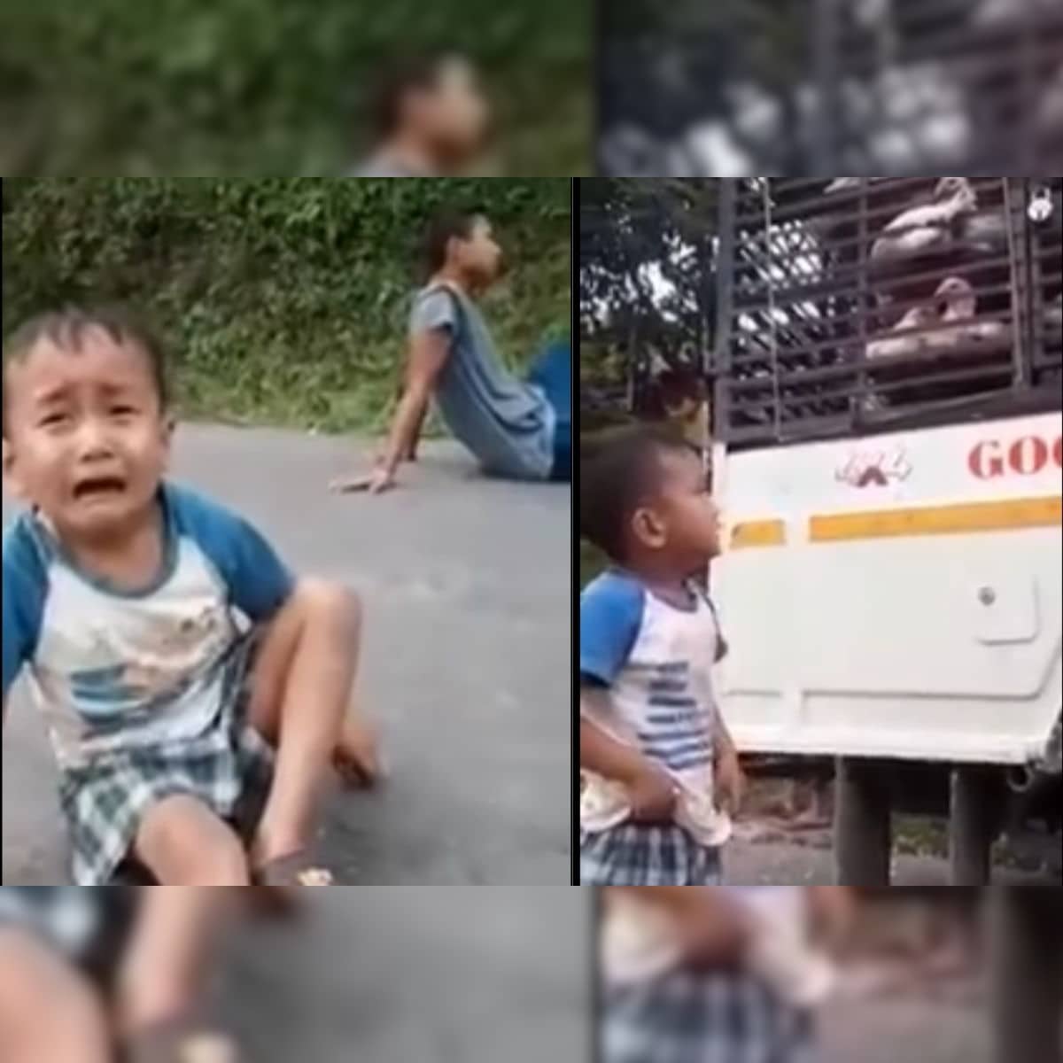 WATCH: Little Boy Breaks Down After Chickens He Raised Taken Away in Sikkim